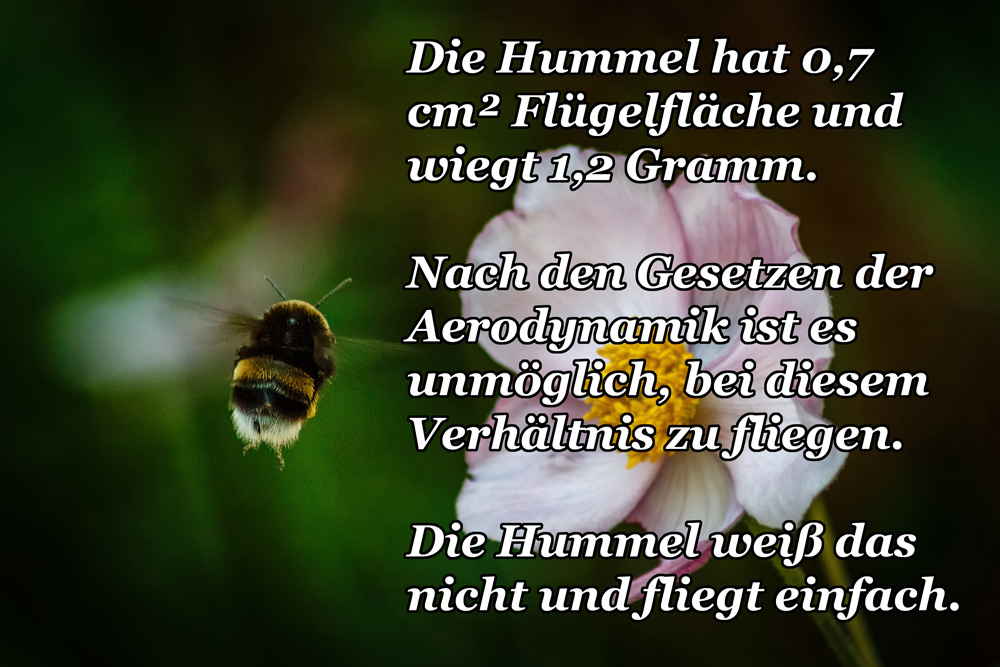 Hummel